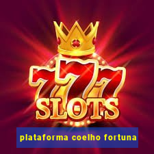 plataforma coelho fortuna